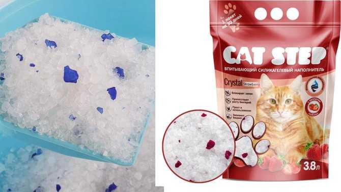Комкующийся наполнитель для кошачьего туалета (23 фото): рейтинг лучших составов для кошек. как пользоваться глиняным наполнителем для котов? отзывы