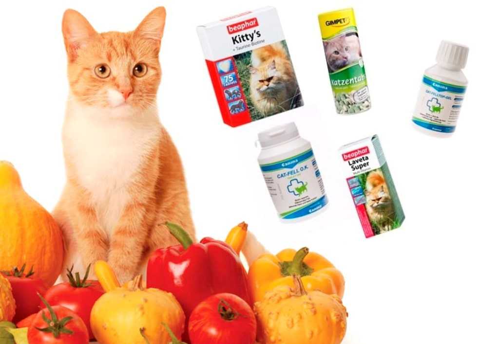 Витамины для котят