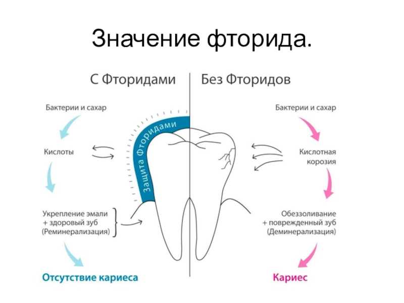 Зубные пасты с кальцием: состав и отзывы