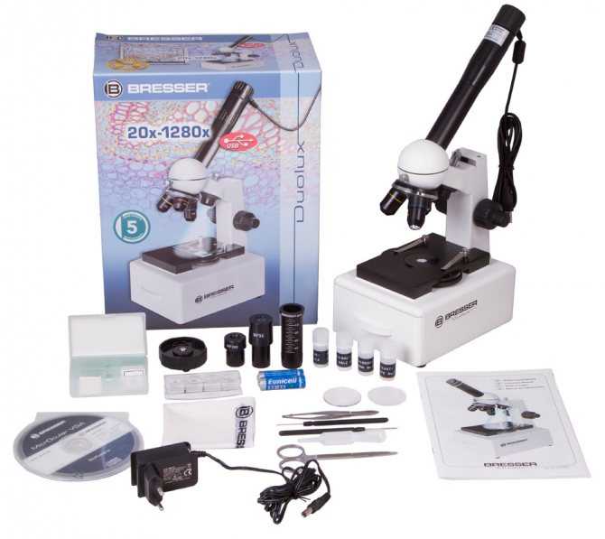 Лучшие микроскопы для школьников: модели для выбора