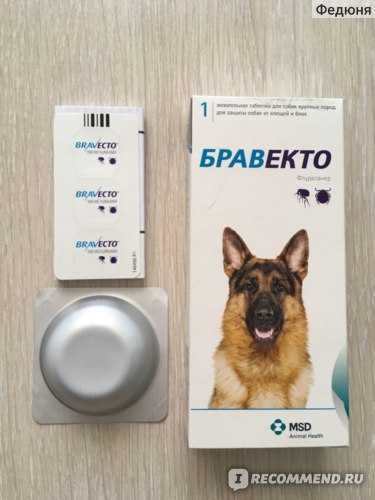 🐩лучшие таблетки и капли от клещей для собак на 2021 год