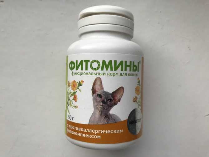 Лучшие витамины для кошек — по мнению ветеринарных врачей и по отзывам владельцев.