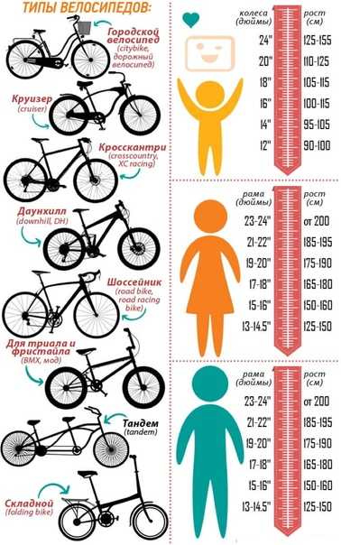 Как выбрать велосипед для мужчины по техническим особенностям, виды велосипедов для мужчин, отзывы