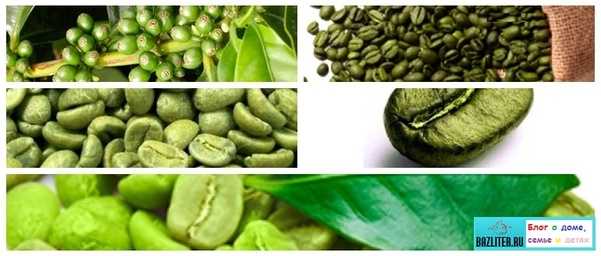 Зеленый кофе для похудения: состав, польза, противопоказания, отзывы