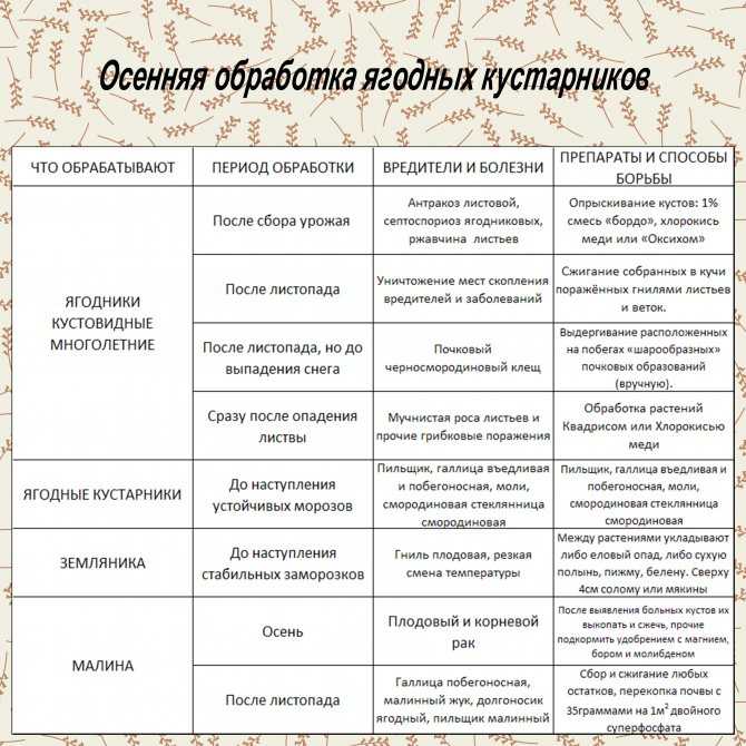 Весенняя обработка плодового сада от вредителей — ботаничка.ru