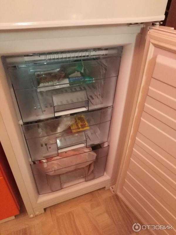 Холодильник бирюса или атлант: что лучше, сравнение параметров