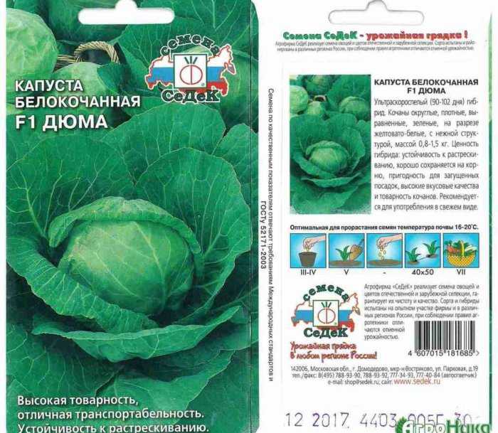 Хорошие сорта капусты: какие сажать семена, чтобы получить самые лучшие, урожайные и крупные овощи для разных целей – хранения, засолки, приготовления русский фермер