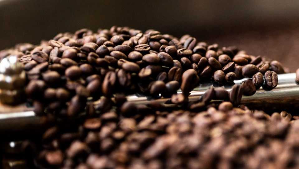 15 лучших марок кофе 2021 года: рейтинги зернового, растворимого, молотого