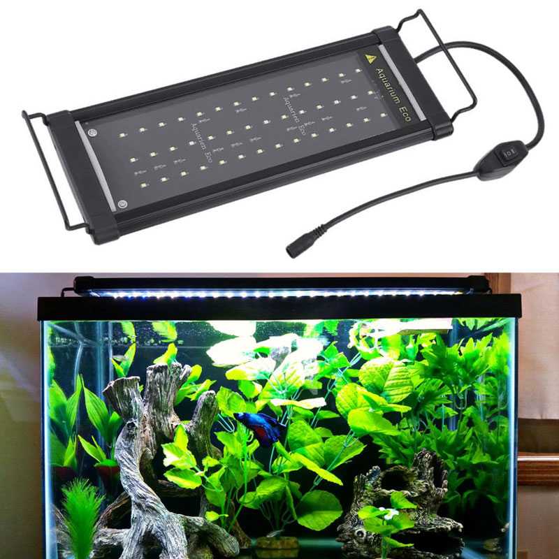 Как правильно выбрать лампы для аквариума