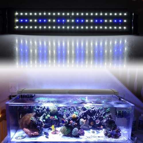 Как выбрать лампу для аквариума и какое освещение лучше?