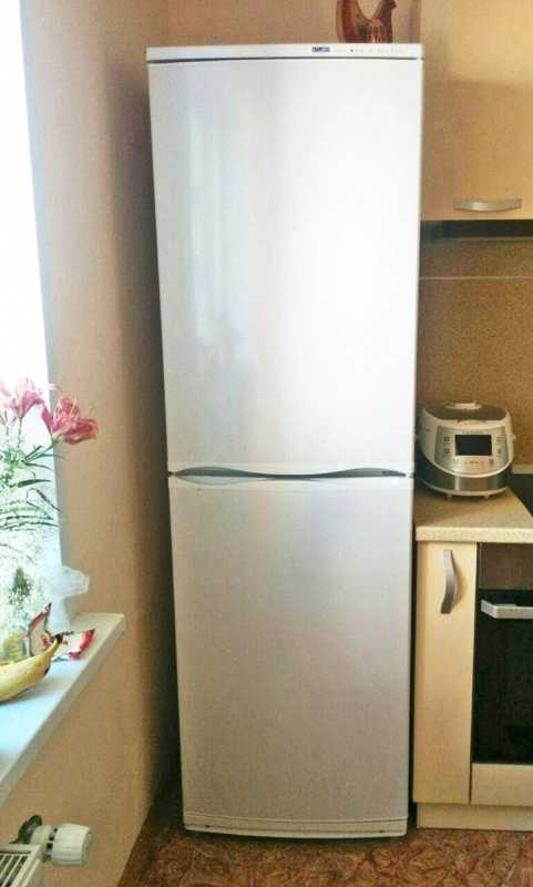 Фотоотчет и отзыв покупателя холодильника atlant хм 6024-031. могучий титан