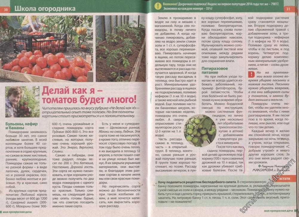 Лучшие сорта черных томатов —  по отзывам садоводов-любителей и экспертов. Описание лучших сортов черных томатов, фото, отзывы.