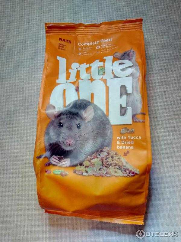 Как выбрать корм для крыс
