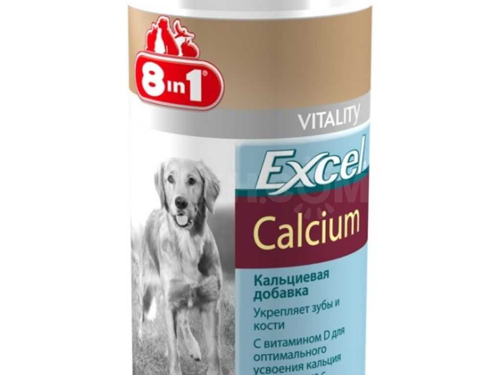 15 лучших витаминов для собак