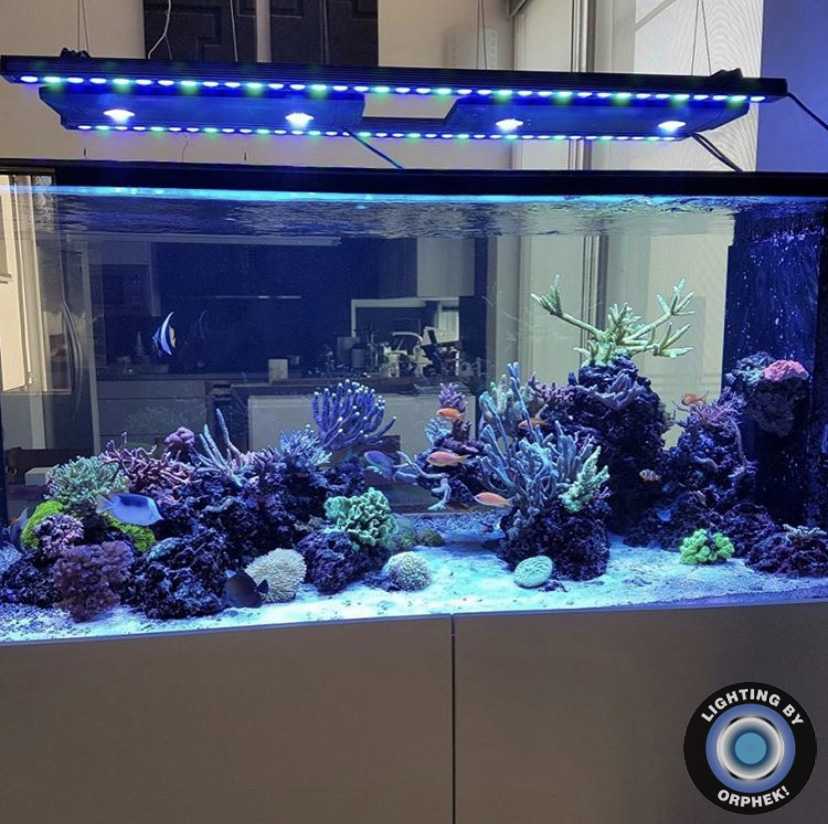 Лучшие лампы для аквариума — по мнению экспертов и по отзывам аквариумистов.