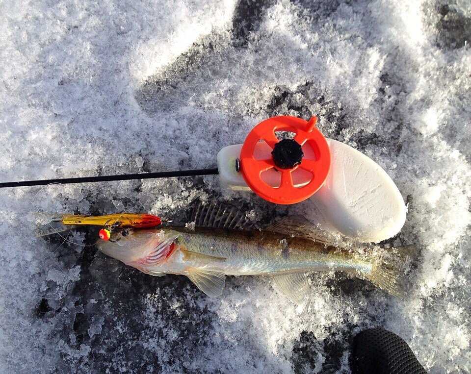 Ловля судака на балансир зимой - рыбачок!