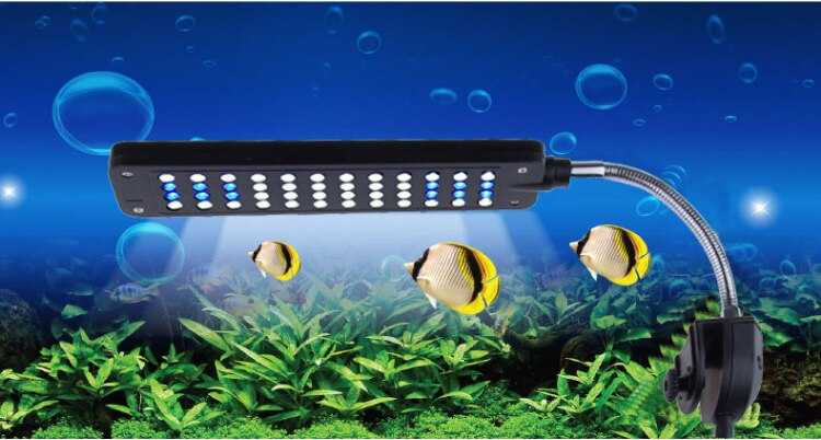 Лучшие лампы для аквариума 2021 | рейтинг по отзывам владельцев