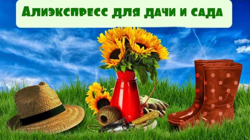 Что покупать для сада в январе и феврале: шпаргалка новичкам  на supersadovnik.ru