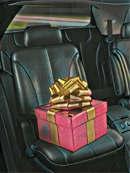 Что подарить автолюбителю на день рождения?  100+ идей для подарка в машину