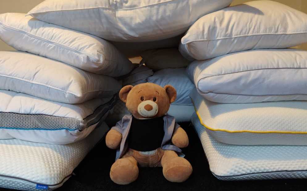 Наполнитель для подушек: требования к качеству наполнителя подушек для взрослых и детей. виды натуральных и искусственных материалов наполнителя (фото + видео)