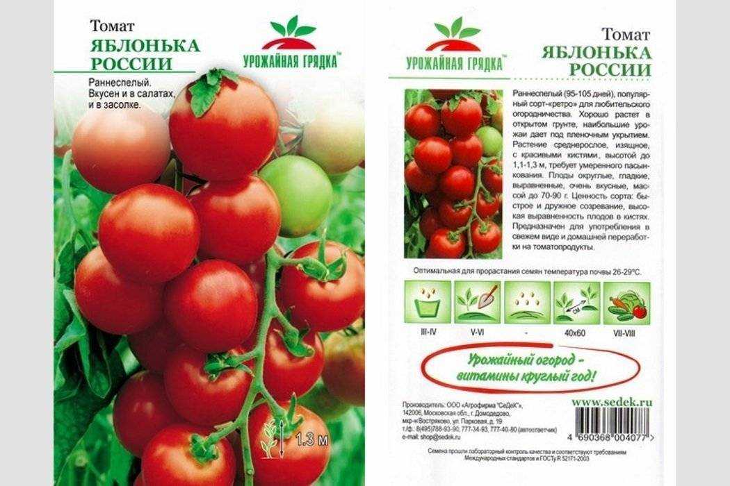 Лучшие кистевые томаты для теплиц и открытого грунта [гроздевые томаты] | сад и огород