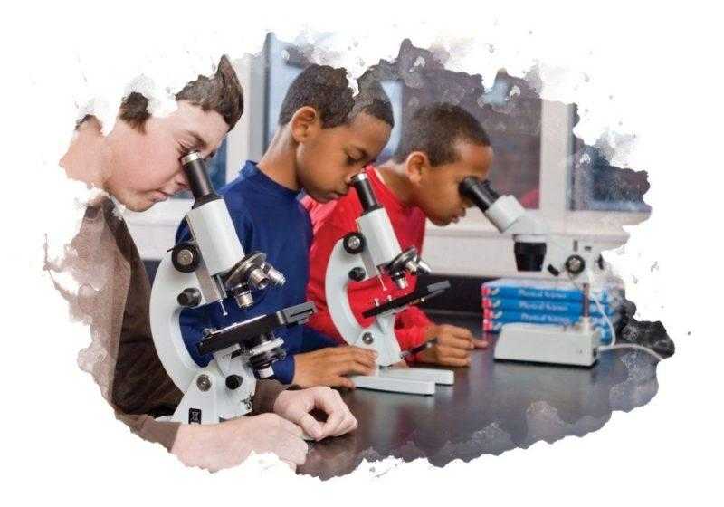 Рейтинг топ-12 детских микроскопов