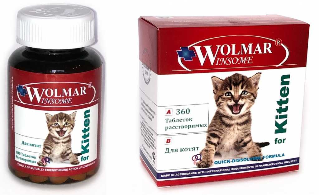 Витамины для кошек: для иммунитета, для старых, стерилизованных, отзывы