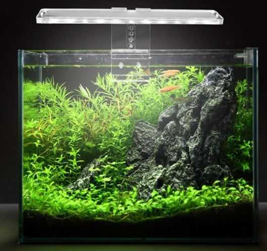 Топ-7 лучших led-светильников для аквариумных растений