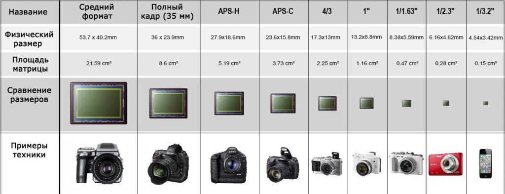 Как выбрать фотоаппарат: важные характеристики и советы, обзор 5 лучших моделей с ценами и отзывами