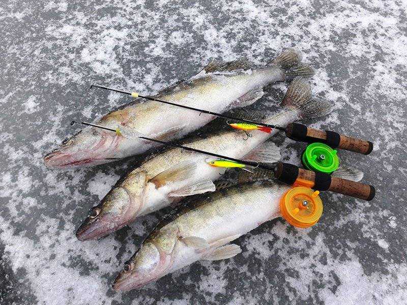Балансиры для зимней рыбалки: рейтинг лучших, как сделать своими руками