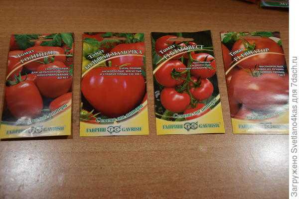 Лучшие сорта томатов для теплицы из поликарбоната и других закрытых теплиц