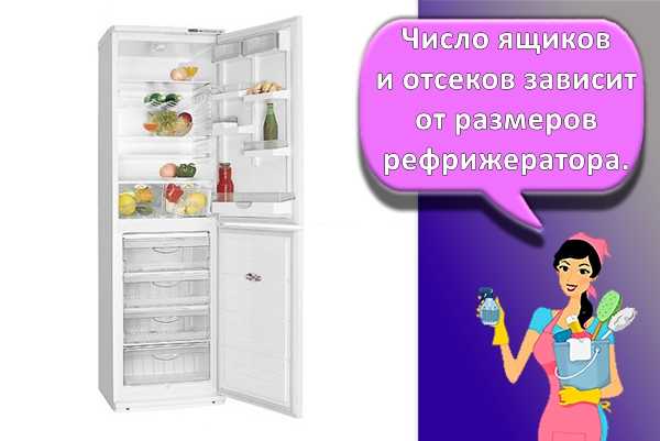 Сравнение производителей атлант и бирюса, критерии выбора холодильников