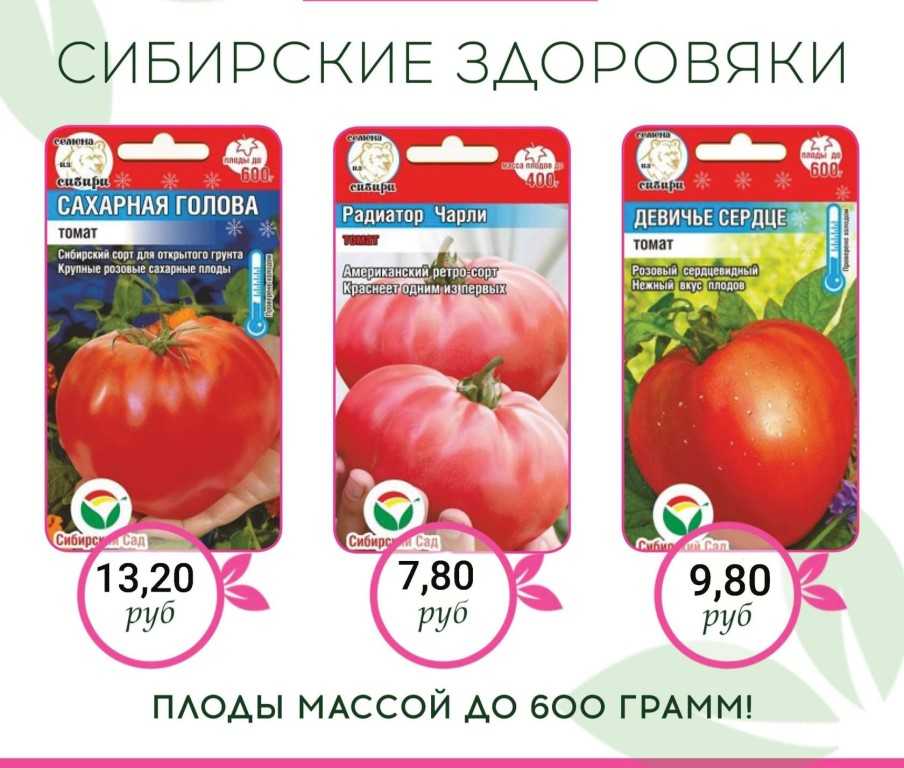 Низкорослые томаты – для открытого грунта без пасынкования, самые урожайные, лучшие сорта