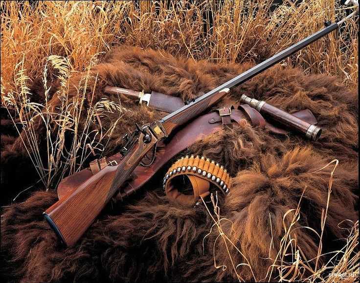 Лучшие ружья для охоты - по отзывам охотников. Достоинства и недостатки самых популярных охотничьих ружей.