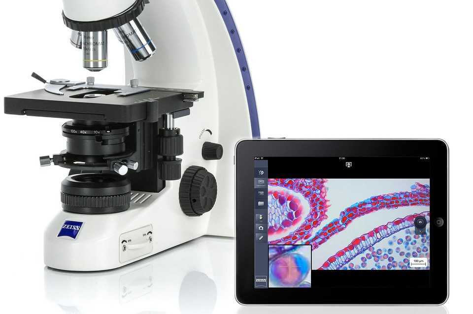 Топ-8 лучших микроскопов лабораторных: описание, особенности, характеристики, цена