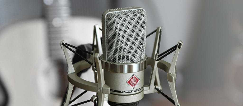 Рейтинг топ 10 лучших конденсаторных микрофонов: какой выбрать, отзывы, цена