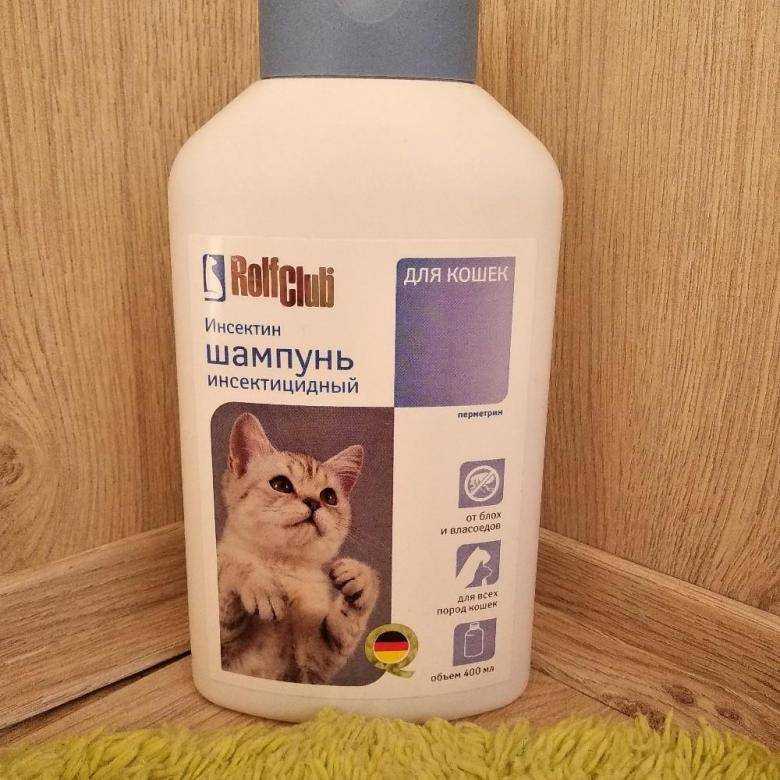 Шампунь для кошек: противоаллергенный состав для длинношерстных котят. чем помыть кота, если нет специального средства? как часто можно использовать кошачий шампунь?