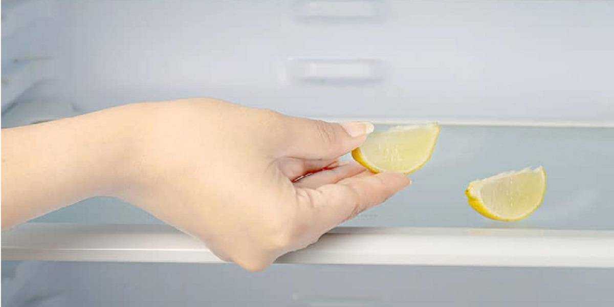 Как убрать запах из холодильника в домашних условиях легко и просто? поверенные способы избавления от запаха из холодильника