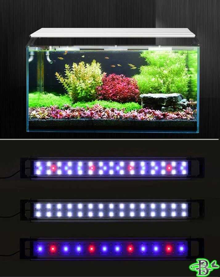 Как правильно подобрать освещение для аквариума?