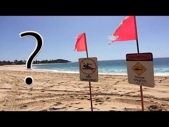 Какие пляжи самые опасные в мире? лучшие дикие пляжи