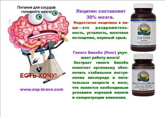 Витамины для памяти: топ лучших препаратов для улучшения мозговой деятельности (145 фото)