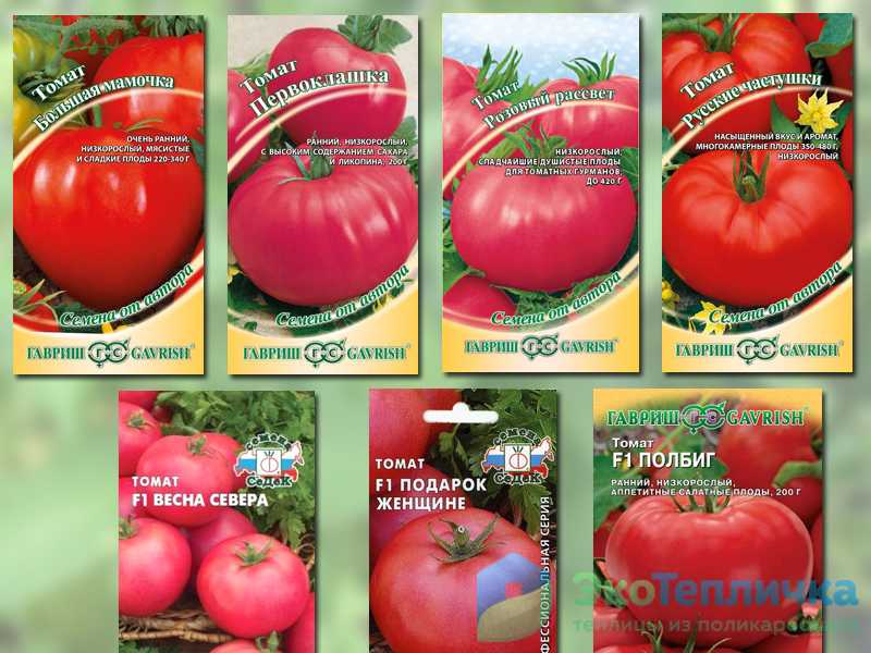 Лучшие сорта томатов для открытого грунта на 2018-2019 годы