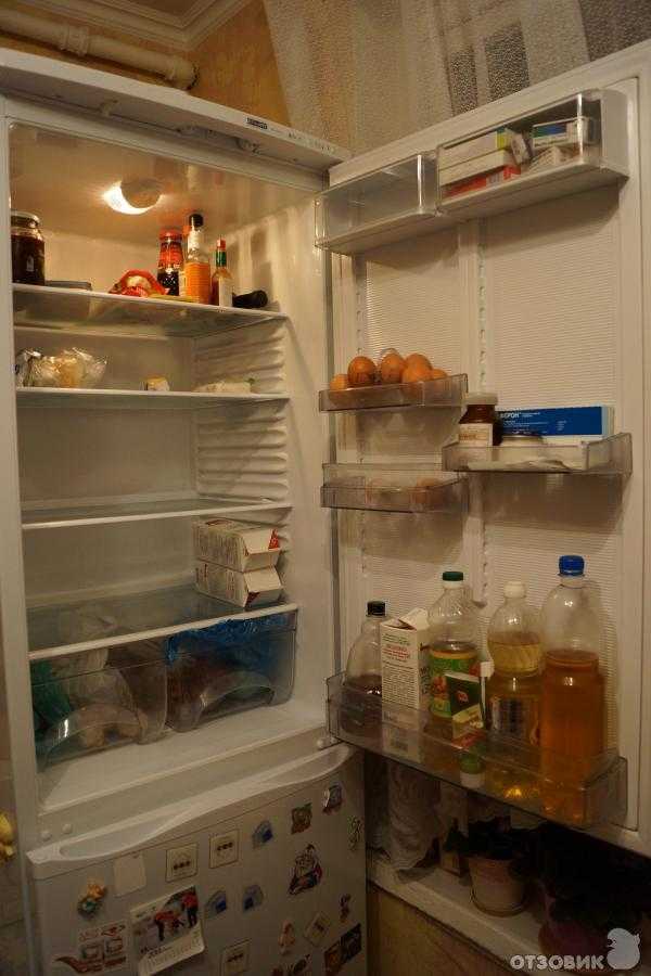 Отзыв о холодильнике атлант 6023-031 оптимальное решение для большой семьи