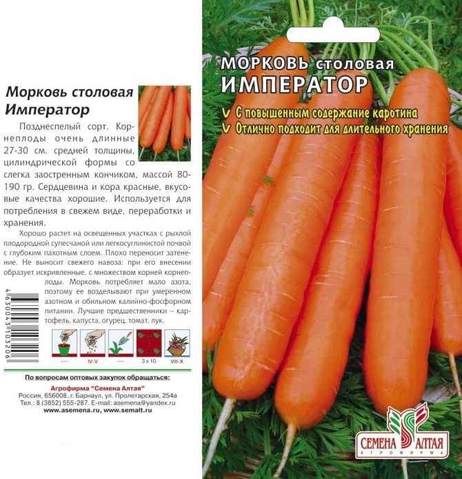 Самые лучшие сорта моркови