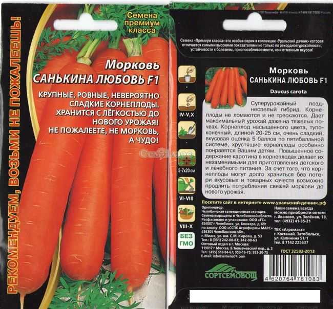 57 лучших сортов моркови с названиями и фото