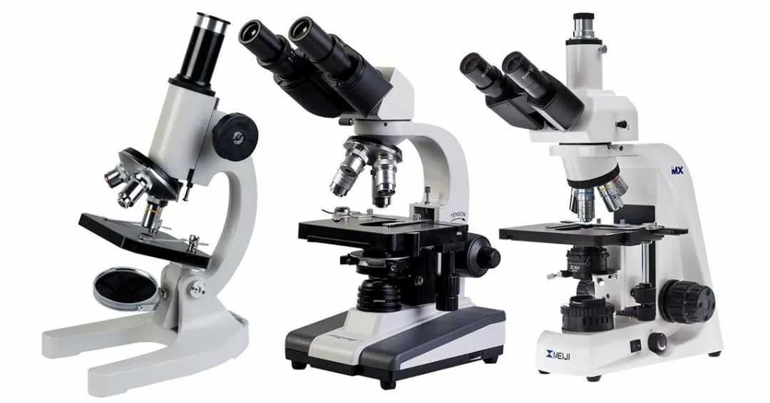 Купить микроскоп школьный, учебный и детский недорого в интернет-магазине supereyes