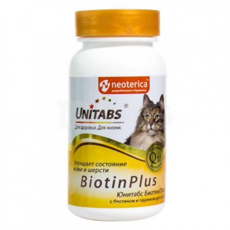 Витамины для кошек от выпадения шерсти: обзор лучших витаминов + отзывы, цены
