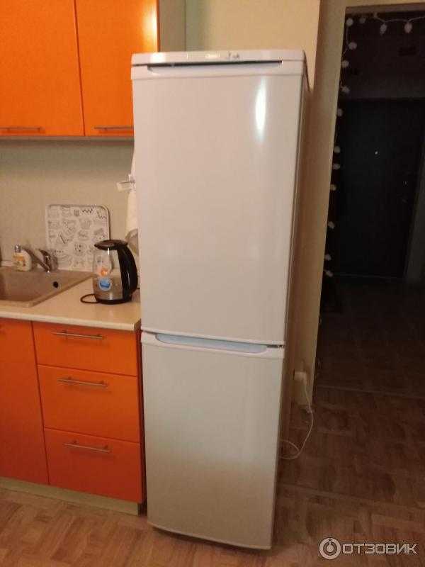 Холодильник бирюса 122 (белый) купить за 12390 руб в екатеринбурге, отзывы, видео обзоры и характеристики - sku1273104