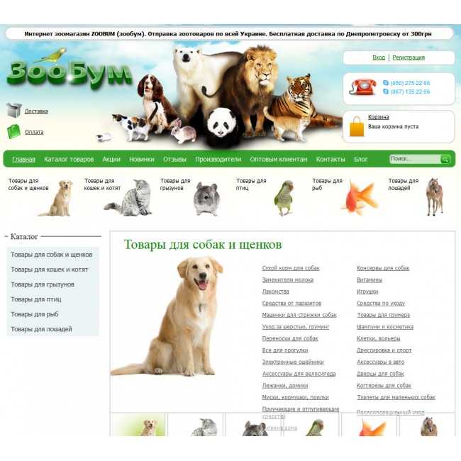 Холистики для собак: список популярных марок с ценами и описанием