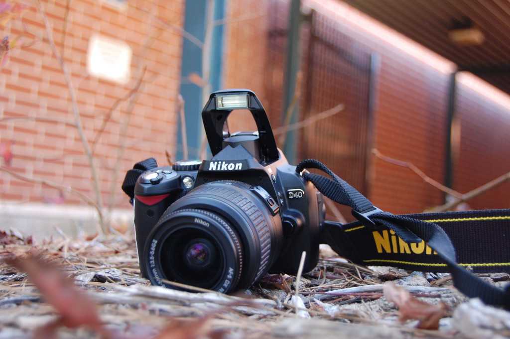 Всё для отличной фотографии: обзор топа фотообъективов хорошего качества для камеры canon